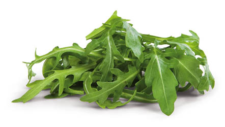 Fino Rukola nepraná 125 g