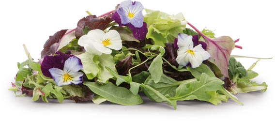 Fino Salát Mesclun květy neprané 125 g