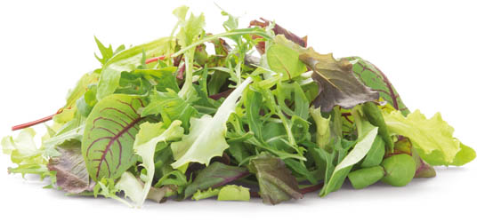 Fino Salát Mesclun nepraný 125 g