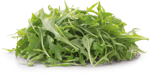 Fino Salát Mizuna green nepraný 125 g