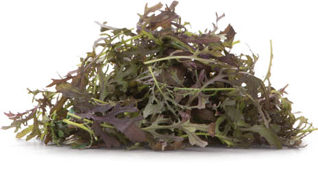 Fino Salát Mizuna Red nepraný 125 g