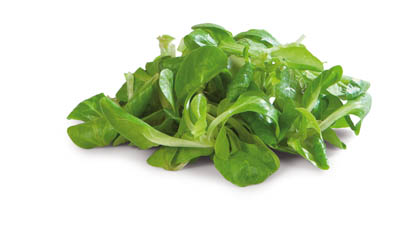 METRO Chef Polníček praný čerstvý 125 g vanička