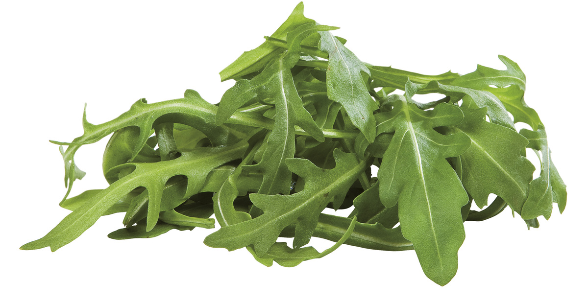 METRO Chef Rukola nepraná čerstvá 1 kg karton