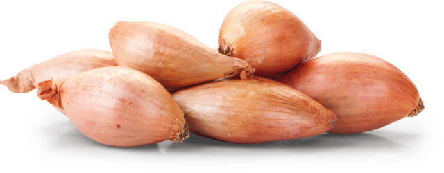 Cibule šalotka Gourmet 30/50 čerstvá 500 g