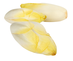 Čekanka bílá čerstvá 500 g