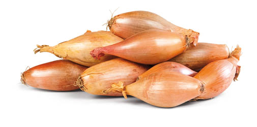 Cibule šalotka banánová 30/40 čerstvá 500 g