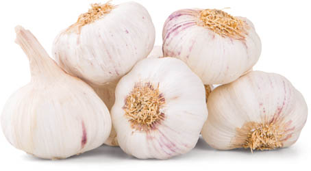 Česnek červený 50+ čerstvý 1 kg