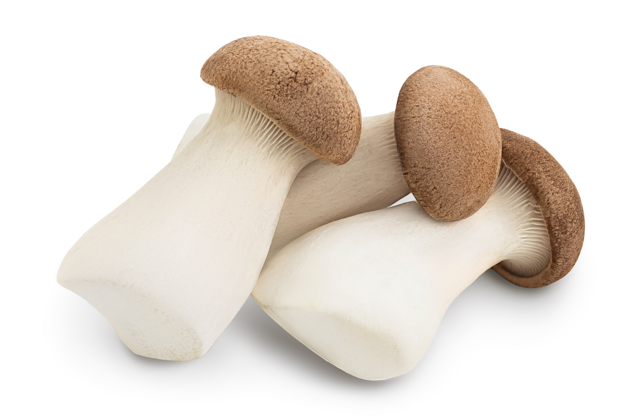 Hlíva královská Eryngii čerstvá 250 g