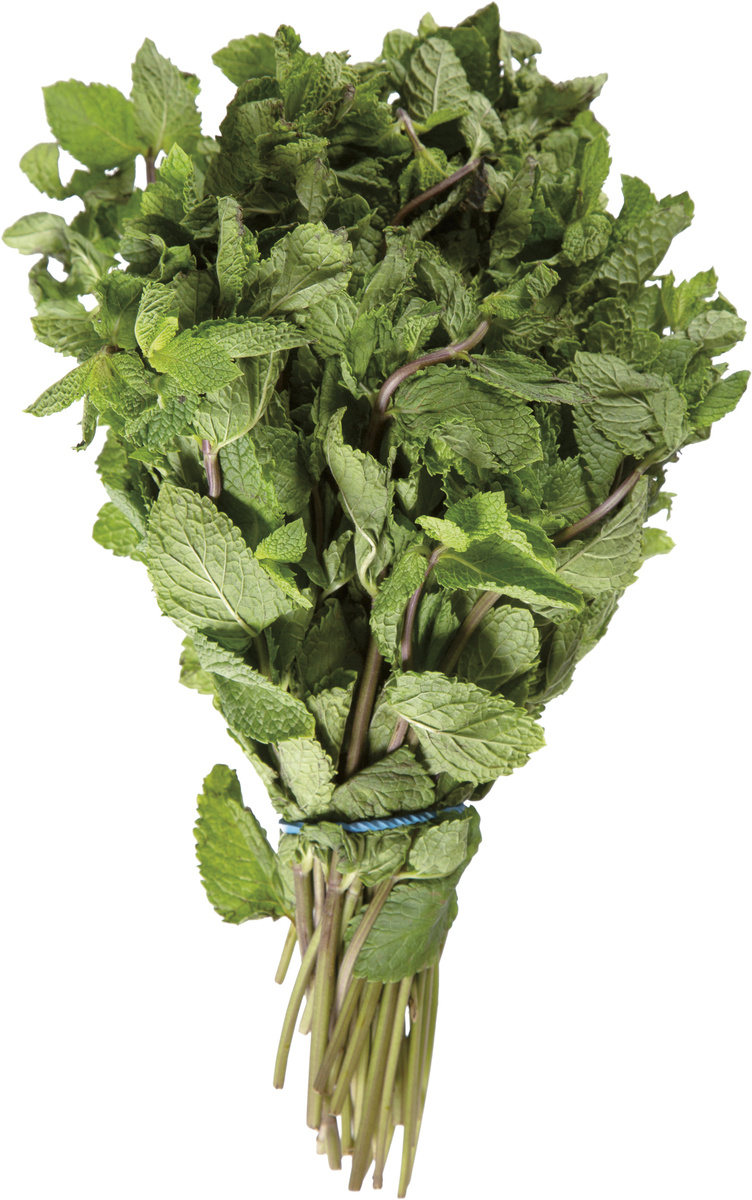 Máta I. ES čerstvá 1 ks svazek