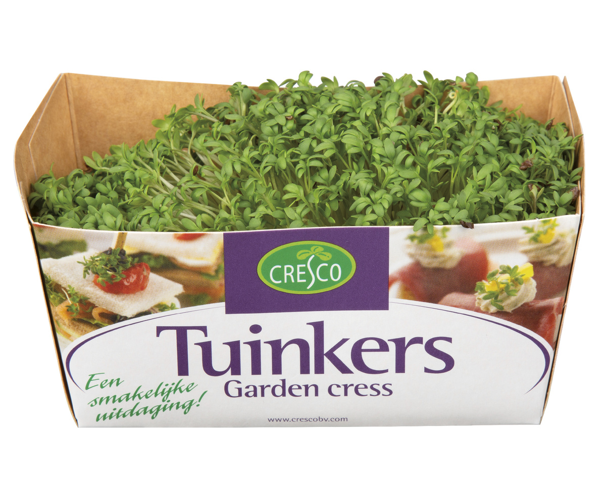 Řeřicha čerstvá 1 ks vanička