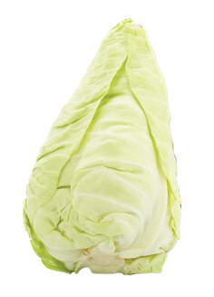 Zelí špičaté bílé 500+ čerstvé 1 ks
