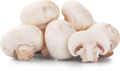 Žampiony bílé 30+ I. čerstvé 1 kg