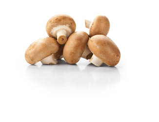 Žampiony hnědé mini 30mm I. čerstvé 1 kg