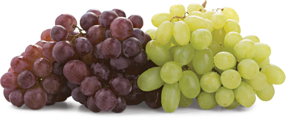 Hrozny mix I. čerstvé váž. cca 1 kg
