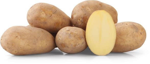 Brambory nové neprané 40+ čerstvé 10 kg síť