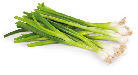 Cibulka lahůdková čerstvá 1 ks svazek