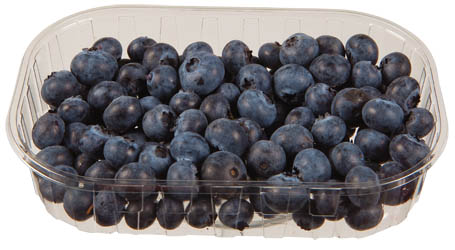 Borůvky čerstvé 300 g vanička