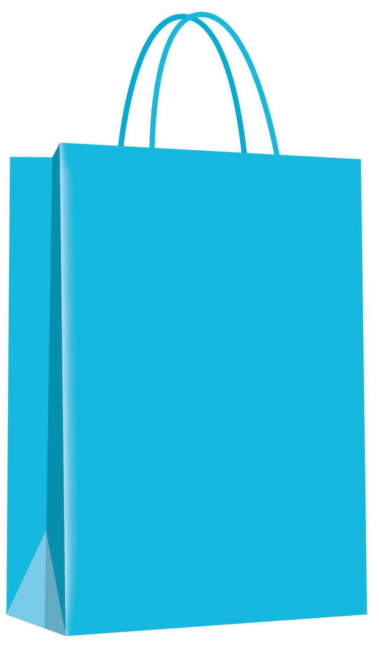 FLEXIO Dárková taška L modrá ECO 1 ks