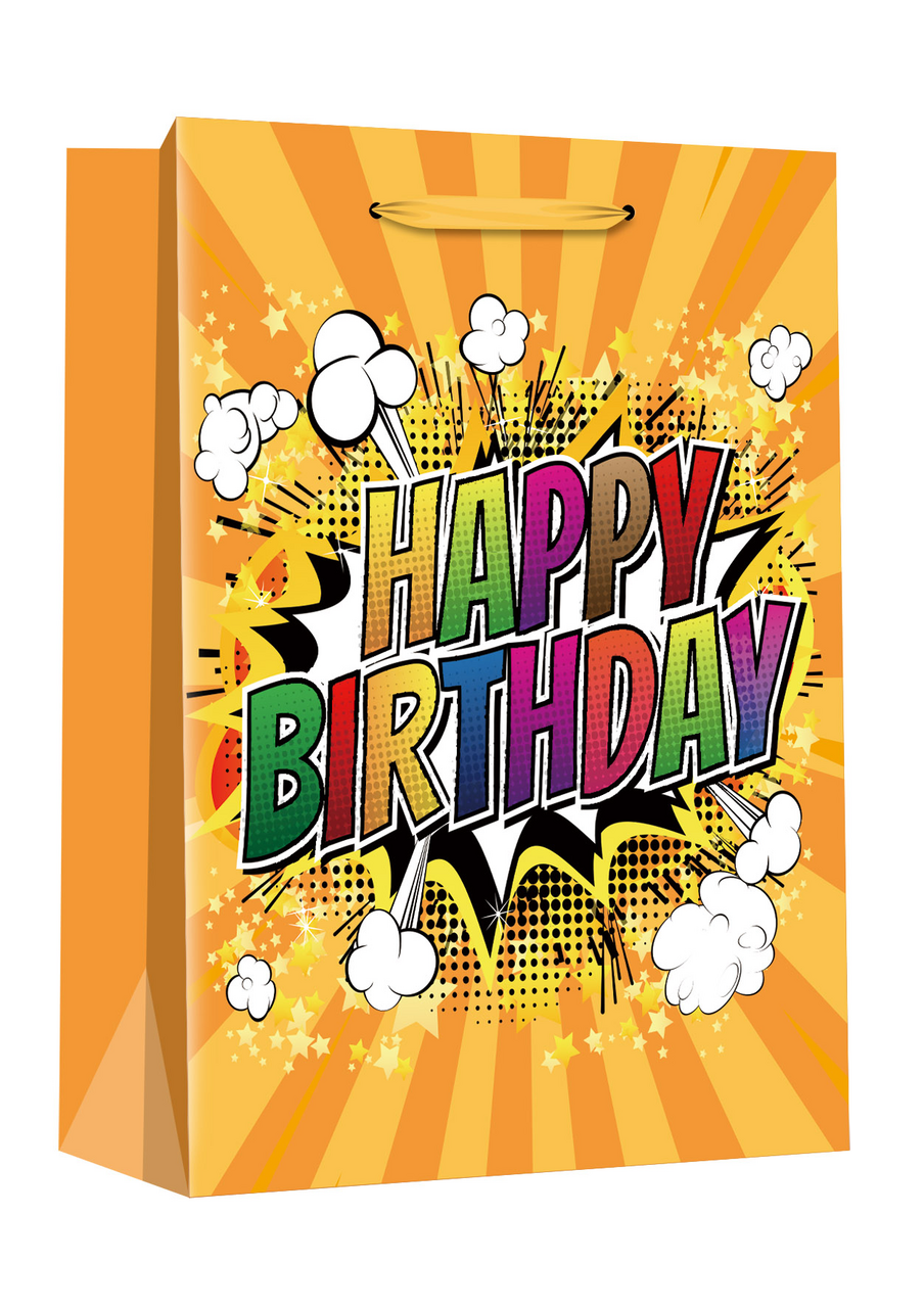 FLEXIO Dárková taška L - 208925 1 ks