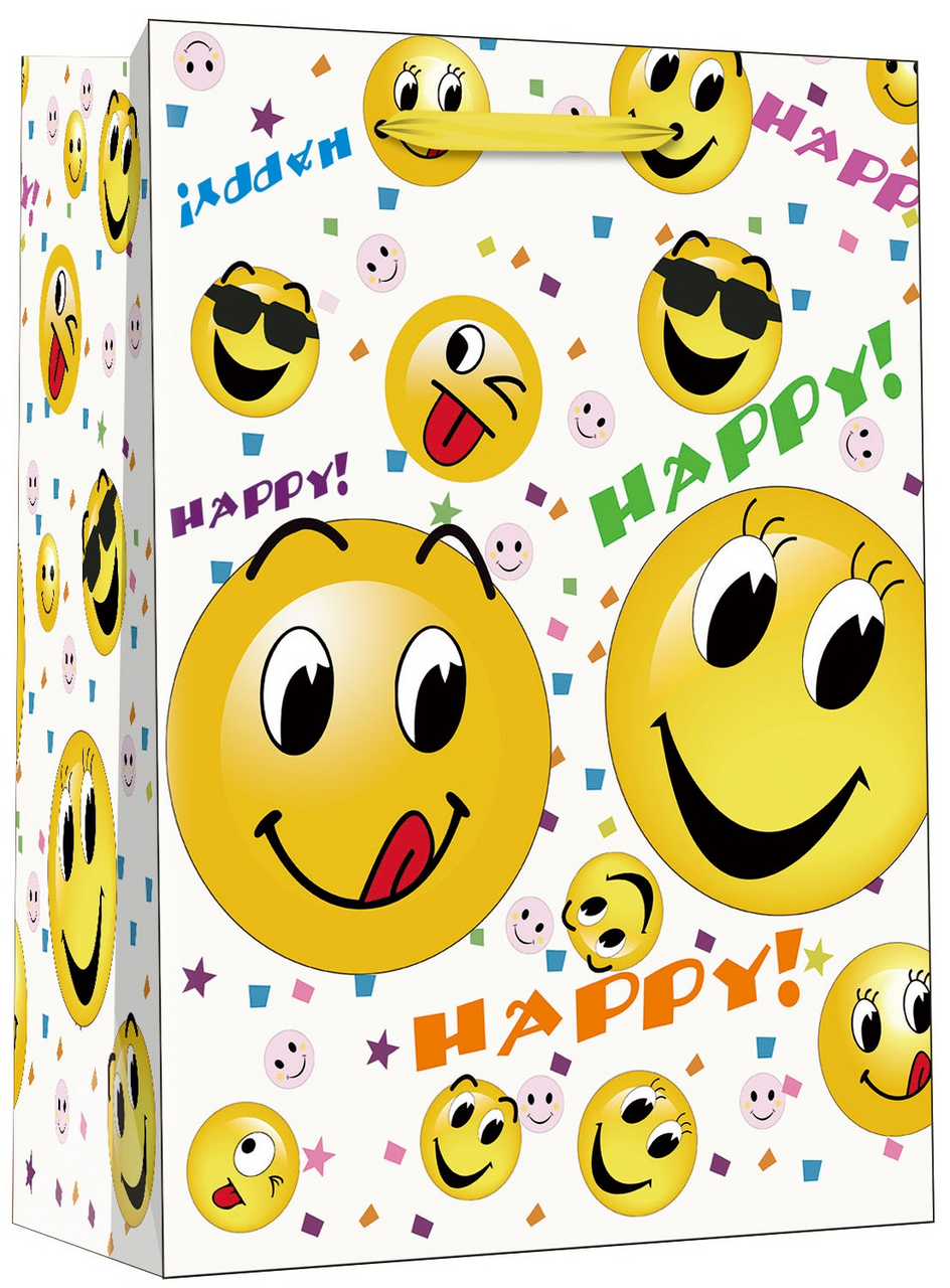 FLEXIO Dárková taška XL - 209982 1 ks