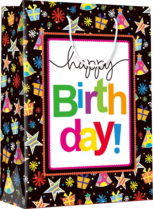 FLEXIO Dárková taška XL - 208926 1 ks