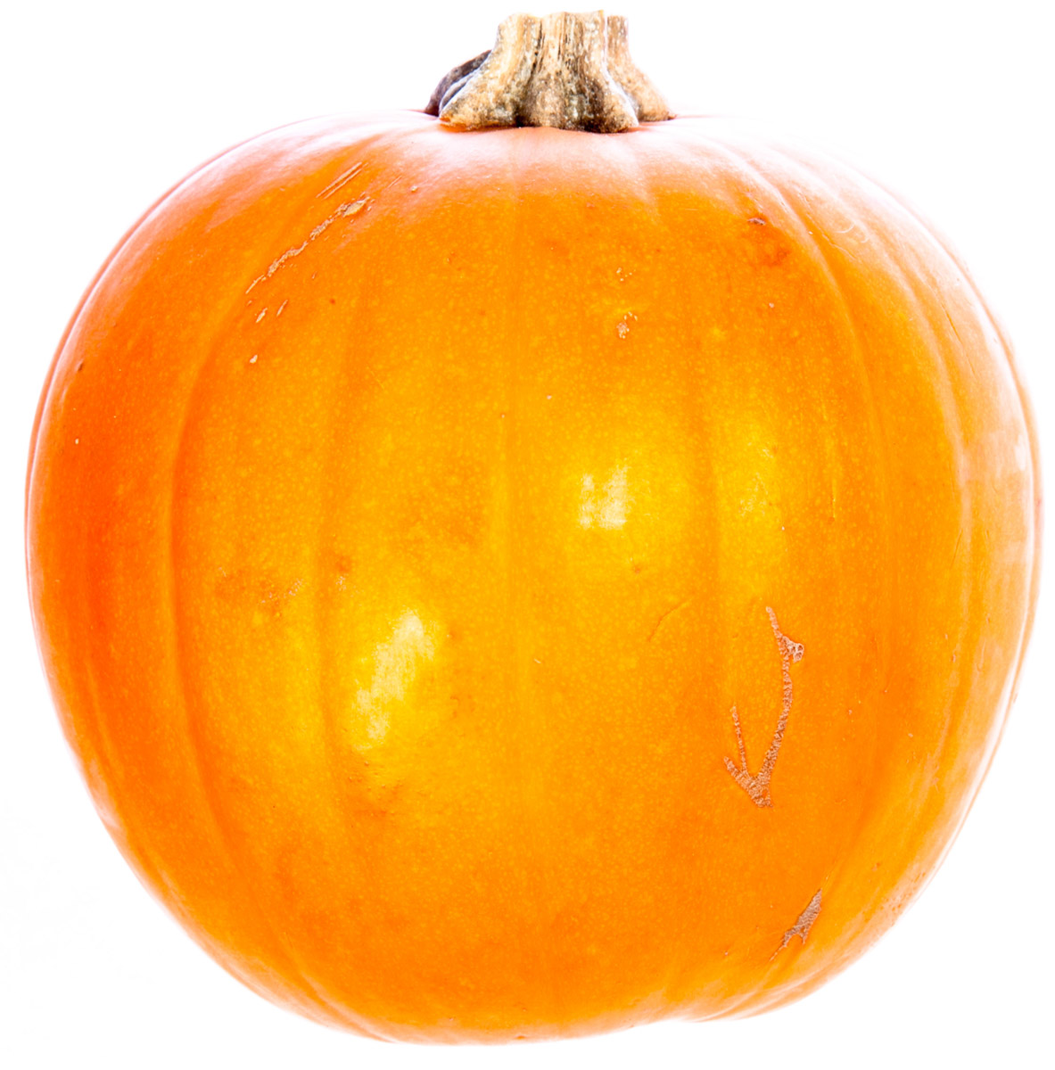 Dýně Baby Bear čerstvá váž. 1 ks