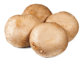 Žampiony Portobello I. PL čerstvé 1,5 kg