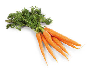 Mrkev karotka s natí čerstvá 1 ks