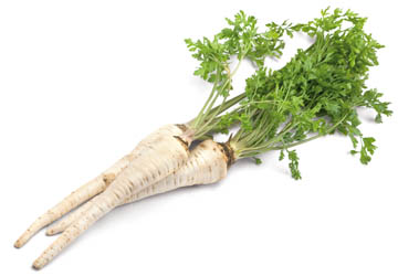 Petržel kořenová 5 kg