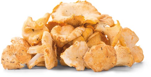 Liška obecná čerstvá 250 g