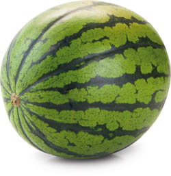 Meloun vodní bezsemenný čerstvý váž. cca 4 kg