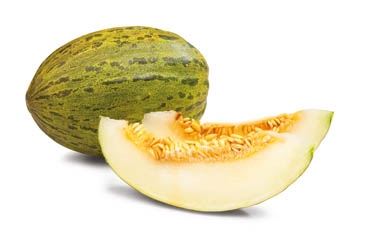 Meloun Piel De Sapo čerstvý váž. cca 1 kg