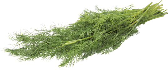 Kopr čerstvý 500 g sáček