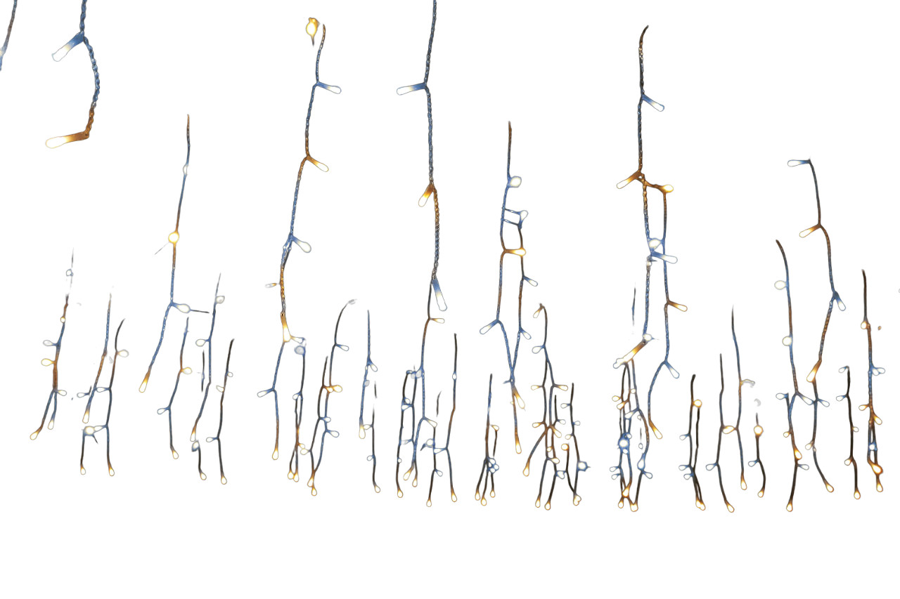 Tarrington House Světelná záclona 96X, D - 28 cm, 480 l 1 ks