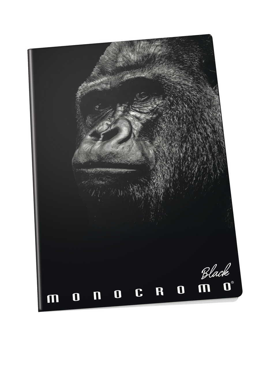 PIGNA Školní sešit Bla šitý A4 linkovaný 1 ks