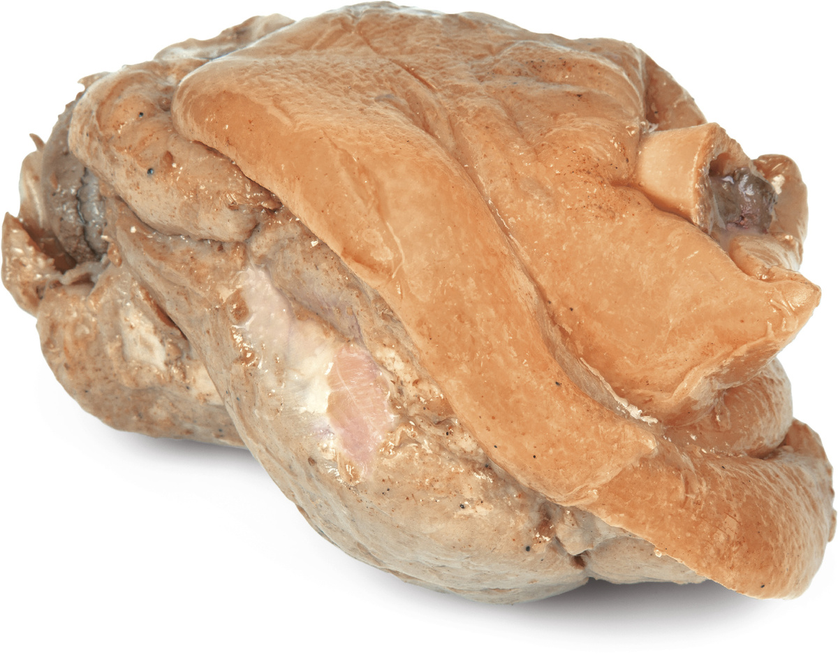 SELSKÝ GRUNT Bavorské koleno s kostí Sous-vide chlaz. cca 1 kg