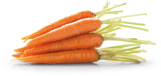 Mrkev karotka 100/300 čerstvá 10 kg