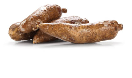 Maniok čerstvý váž. cca 1 kg