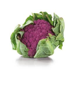 Květák fialový čerstvý 1 ks