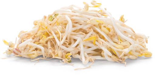 Klíčky mungo NL čestvé 1 kg sáček