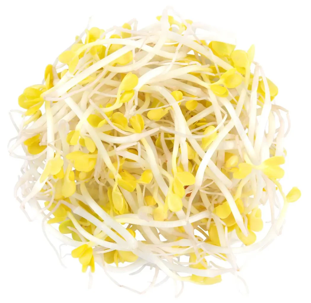 METRO Chef Klíčky ředkvičky žluté NL čerstvé 100 g