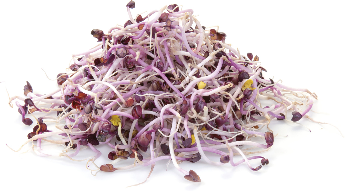 METRO Chef Klíčky ředvičky červené NL čerstvé 50 g