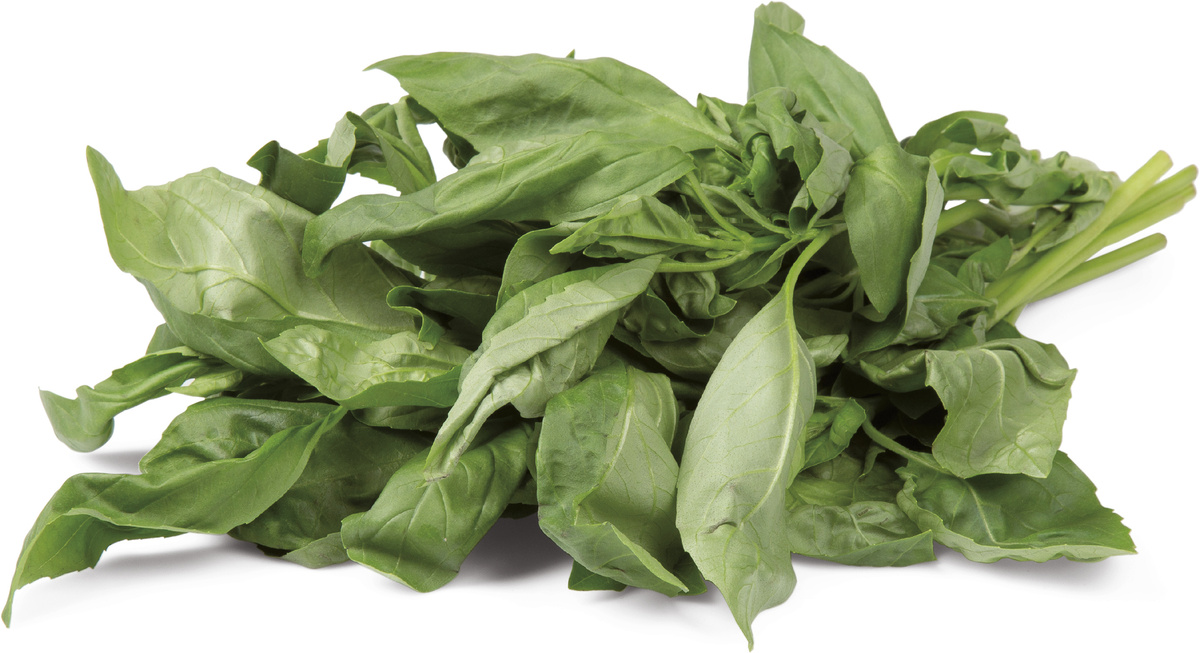 METRO Chef Bazalka 100 g