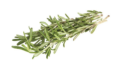 METRO Chef Rozmarýn čerstvý 30 g