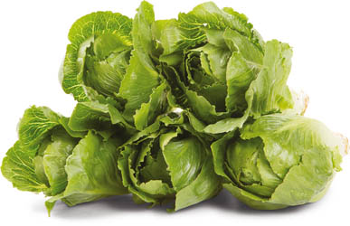 Salát Crunchy čerstvý 2 ks