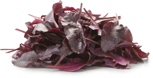 METRO Chef Salát listy býčí krev čerstvé 125 g