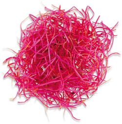 METRO Chef Klíčky červené řepy čerstvé 50 g vanička