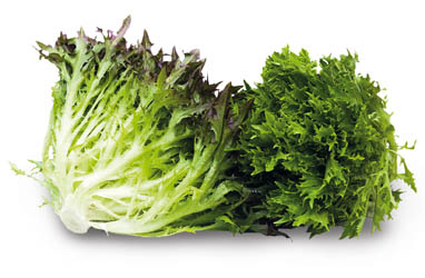 Salát Frisee 200 + I. čerstvý 1 ks