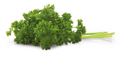 METRO Chef Petržel Kadeřavá čerstvá 1 kg