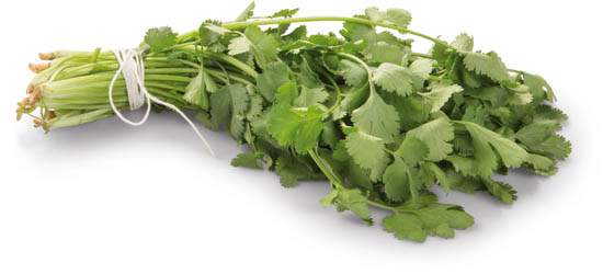 METRO Chef Petržel hladkolistá čerstvá 400 g